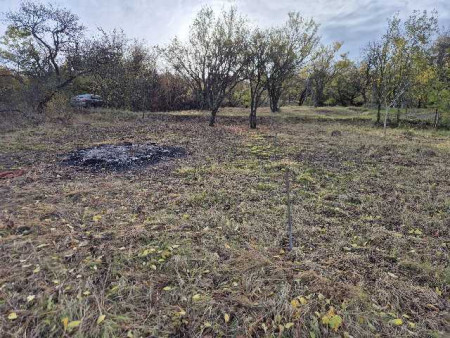 Prodej zahrady ve městě Židlochovice o CP 1185 m2